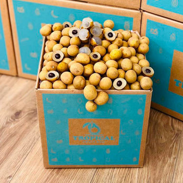 Longan / Dragon Eye Fruit Box GoogleON Tropical Fruit Box